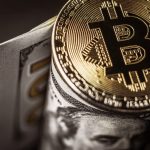 Hebdo 18/11 – Les cryptomonnaies échouent au quiz surprise, mais réussissent haut la main l’examen final